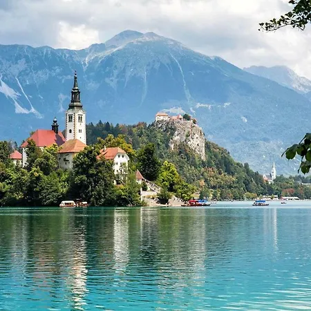 Apartma Dominik Zgornje Gorje