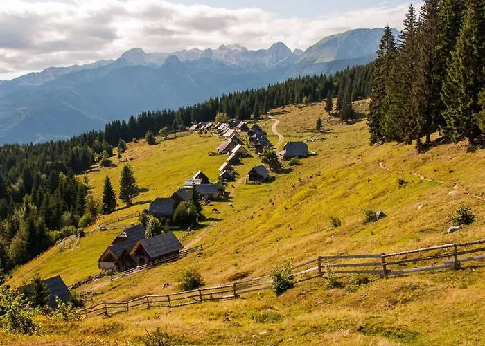 Apartma Dominik شقة زغورنجي