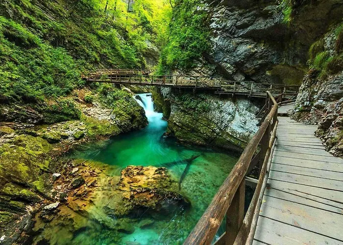 Apartma Dominik زغورنجي